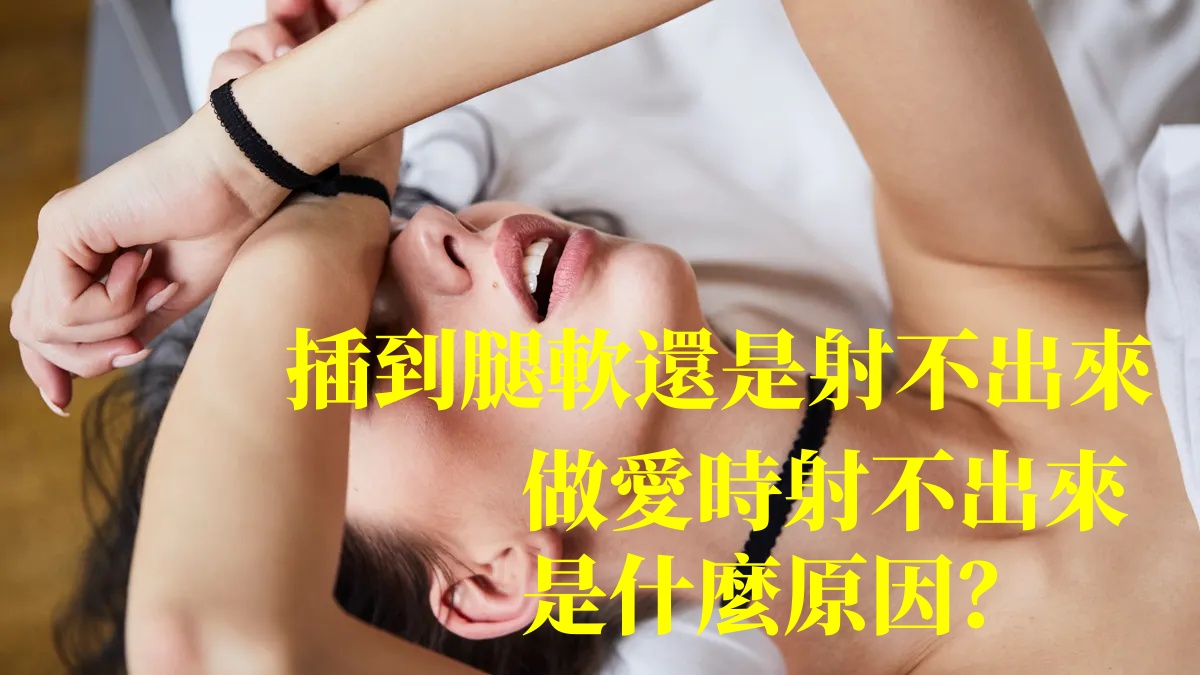 1729914875509443.jpg 1729914875509443.jpg