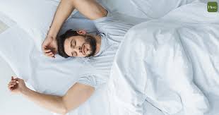 1730691518673177.jpg 睡眠.jpg