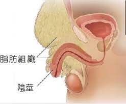 1732333384154598.jpg 1732333384154598.jpg